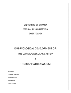 Development of the Respiratory System