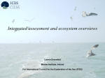 Integrated assessment and ecosystem overviews: North Sea