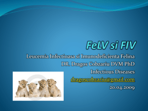 FelV si FIV - CYF MEDICAL DISTRIBUTION