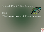 The Importance of Plant Science