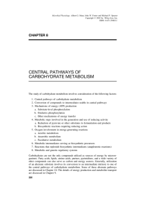 "Central Pathways of Carbohydrate Metabolism". In: Microbial