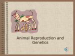 Animal Reproduction and Genetics