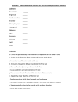 Cranial Nerves Worksheet