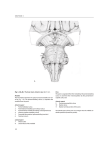 section i - Libreria Universo