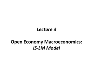 Lecture 2 Open Economy Macroeconomics: IS