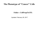 The Phenotype of "Cancer" Cells