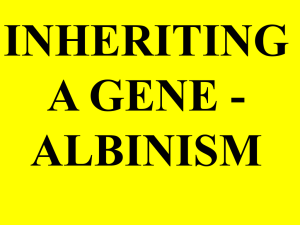 Albino gene