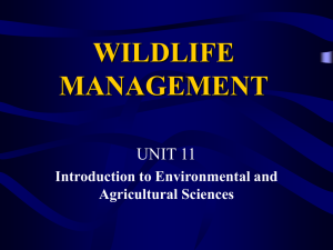 Intro to Wildlife Management