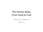BIOL 103 Chapter 4-1 for Students