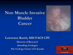 Non Muscle Invasive Bladder Cancer