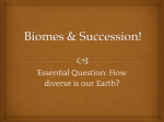 Biomes and Succession Power Point