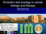 Evolution and ecology in cancer biology and therapy