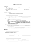 Civilizations in Transition Notes Sheet