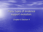 Other Evidence for Evolution