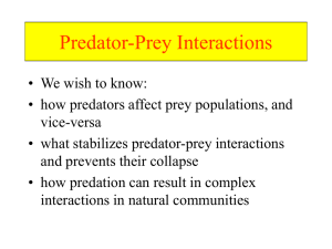 predation 2004