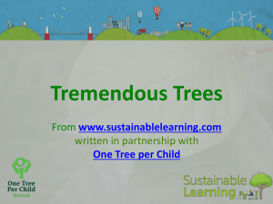 - Sustainable Learning