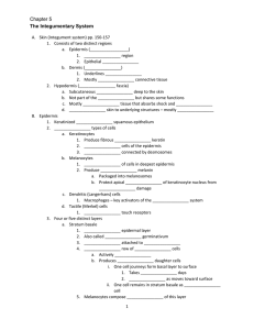 The Integumentary System