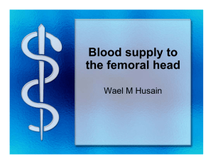 Blood supply to the femoral head