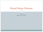 Renal Stone Disease