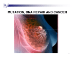 MUTATION, DNA REPAIR AND CANCER