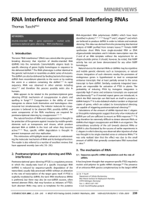 RNA Interference and Small Interfering RNAs