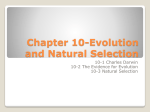 Chapter 10-Evolution and Natural Selection