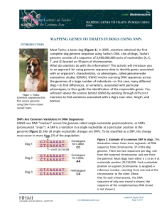 Microsoft Word - Mapping-Traits-in-Dogs