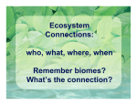 Ecosystem Connections: who, what, where, when Remember