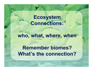 Ecosystem Connections: who, what, where, when Remember