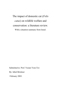 The impact of domestic cat (Felis catus) on wildlife welfare and