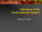 Infections-of-the-Cardiovascular