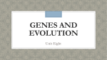 Genes and Evolution - Mad River Local Schools
