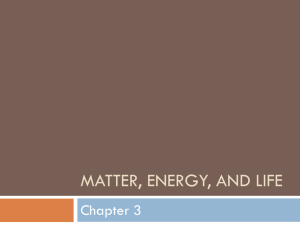 matter, energy, and Life PPT