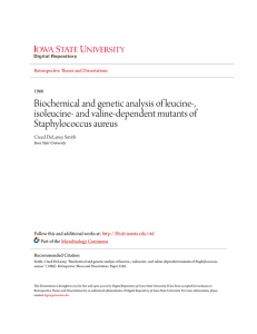 Biochemical and genetic analysis of leucine-, isoleucine