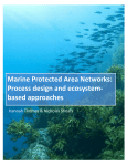 Marine Protected Area networks: process design