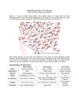 Identifying Air Masses and Fronts