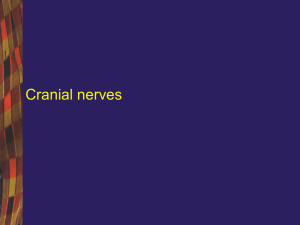 10 cranial nerves_miast gravis_polimyositis