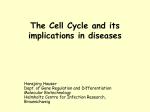 The Cell Cycle