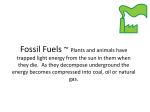 Fossil Fuels ~ Plants and animals have trapped light energy from the
