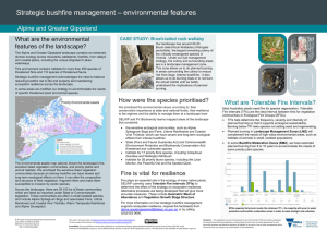 MS Word Document - 2.5 MB - Department of Environment, Land