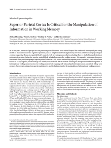 Superior Parietal Cortex Is Critical for the Manipulation of