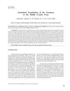 Anatomical Examination of the Foramens of the Middle Cranial Fossa