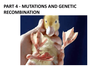 PART 4 - Mutations and Genetic Recombination