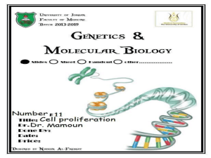 Lecture 11: Cell proliferation, differentiation, and death