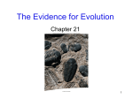 Evidence for Evolution