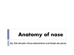 Anatomy and physiology of Nose