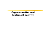 Organic matter and biological activity