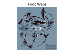 Food Webs - WordPress.com