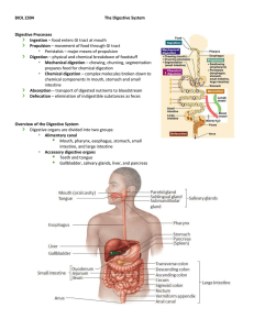 Digestive