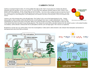 Carbon Cycle and Nitrogen Cycle Readings